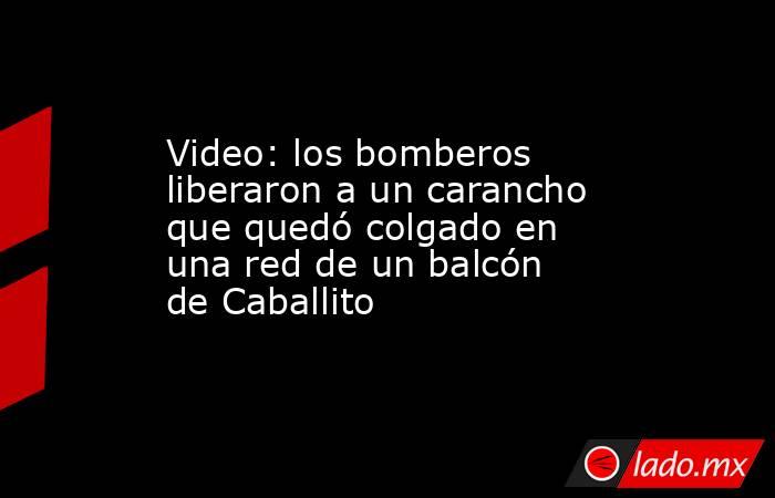 Video: los bomberos liberaron a un carancho que quedó colgado en una red de un balcón de Caballito. Noticias en tiempo real