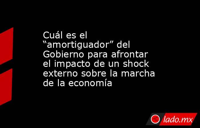 Cuál es el “amortiguador” del Gobierno para afrontar el impacto de un shock externo sobre la marcha de la economía. Noticias en tiempo real