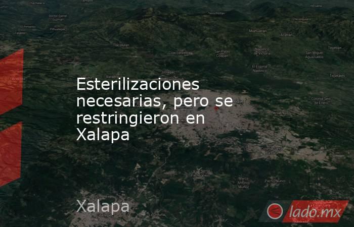 Esterilizaciones necesarias, pero se restringieron en Xalapa . Noticias en tiempo real