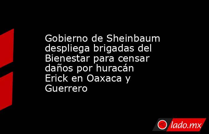 Gobierno de Sheinbaum despliega brigadas del Bienestar para censar daños por huracán Erick en Oaxaca y Guerrero. Noticias en tiempo real