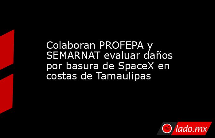 Colaboran PROFEPA y SEMARNAT evaluar daños por basura de SpaceX en costas de Tamaulipas. Noticias en tiempo real