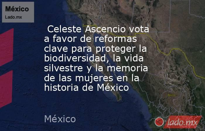  Celeste Ascencio vota a favor de reformas clave para proteger la biodiversidad, la vida silvestre y la memoria de las mujeres en la historia de México. Noticias en tiempo real