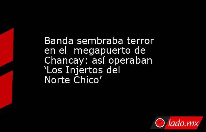 Banda sembraba terror en el  megapuerto de Chancay: así operaban ‘Los Injertos del Norte Chico’. Noticias en tiempo real