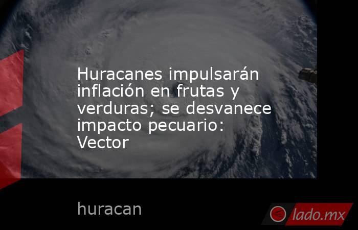 Huracanes impulsarán inflación en frutas y verduras; se desvanece impacto pecuario: Vector. Noticias en tiempo real