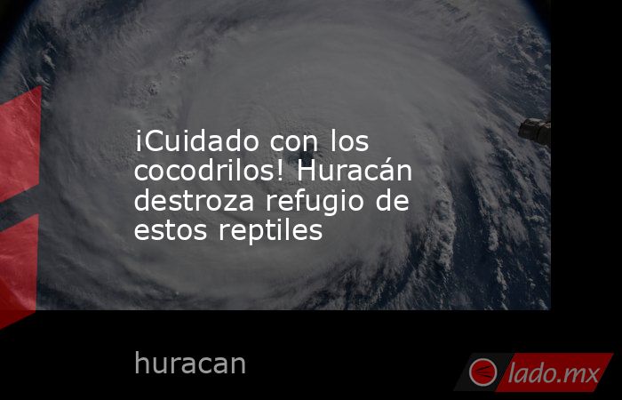 ¡Cuidado con los cocodrilos! Huracán destroza refugio de estos reptiles. Noticias en tiempo real