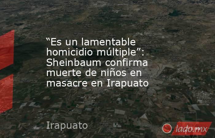 “Es un lamentable homicidio múltiple”: Sheinbaum confirma muerte de niños en masacre en Irapuato. Noticias en tiempo real