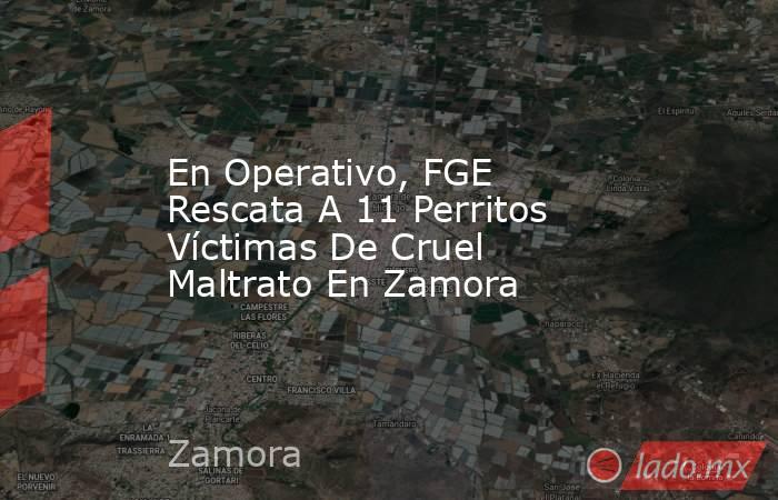 En Operativo, FGE Rescata A 11 Perritos Víctimas De Cruel Maltrato En Zamora. Noticias en tiempo real