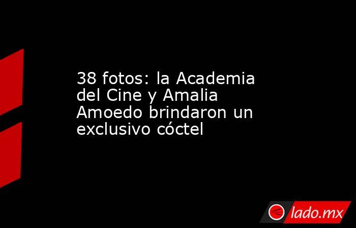 38 fotos: la Academia del Cine y Amalia Amoedo brindaron un exclusivo cóctel . Noticias en tiempo real