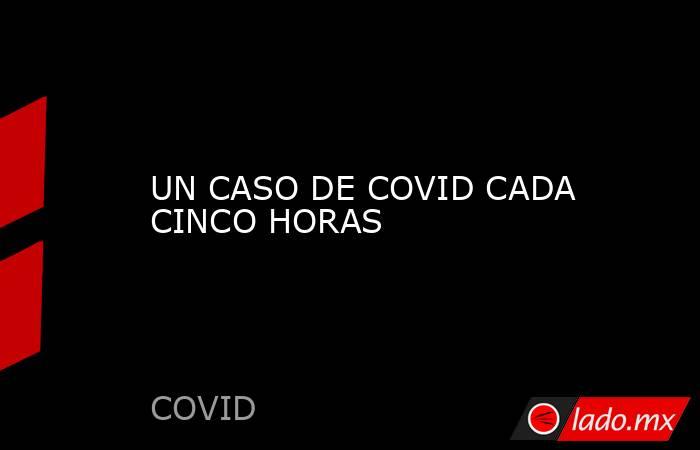 UN CASO DE COVID CADA CINCO HORAS. Noticias en tiempo real