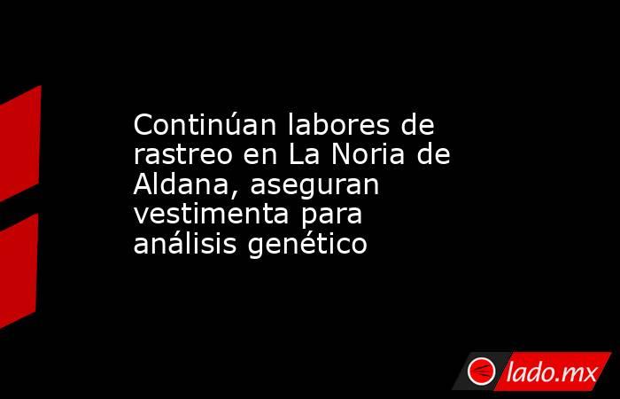 Continúan labores de rastreo en La Noria de Aldana, aseguran vestimenta para análisis genético. Noticias en tiempo real