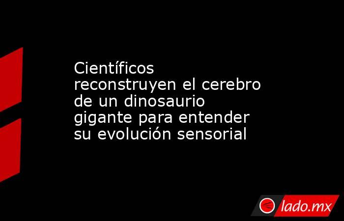 Científicos reconstruyen el cerebro de un dinosaurio gigante para entender su evolución sensorial . Noticias en tiempo real