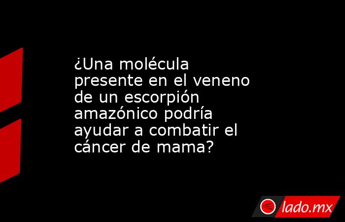 ¿Una molécula presente en el veneno de un escorpión amazónico podría ayudar a combatir el cáncer de mama?. Noticias en tiempo real