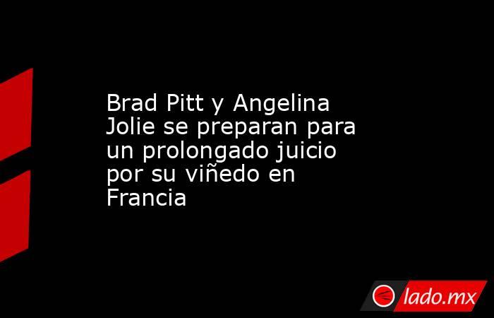 Brad Pitt y Angelina Jolie se preparan para un prolongado juicio por su viñedo en Francia. Noticias en tiempo real