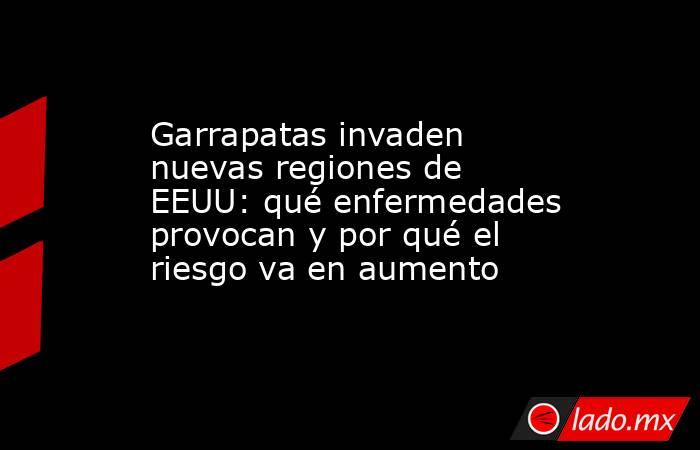 Garrapatas invaden nuevas regiones de EEUU: qué enfermedades provocan y por qué el riesgo va en aumento. Noticias en tiempo real