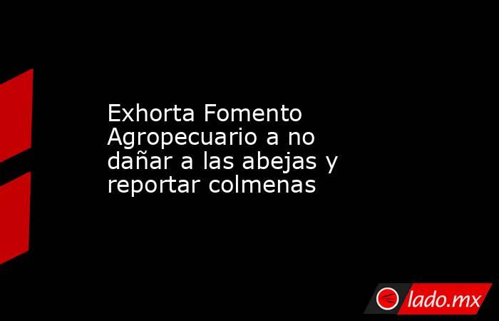 Exhorta Fomento Agropecuario a no dañar a las abejas y reportar colmenas. Noticias en tiempo real