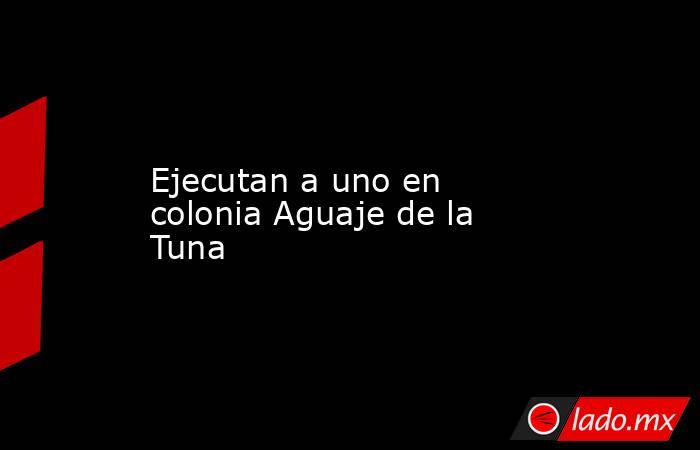Ejecutan a uno en colonia Aguaje de la Tuna . Noticias en tiempo real