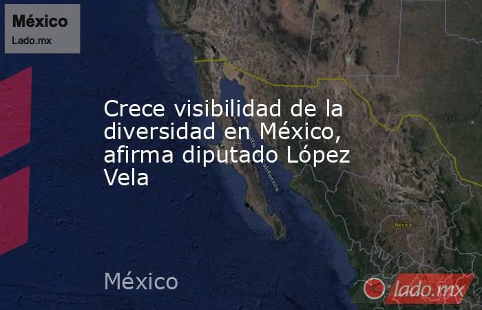 Crece visibilidad de la diversidad en México, afirma diputado López Vela. Noticias en tiempo real