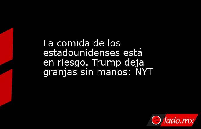 La comida de los estadounidenses está en riesgo. Trump deja granjas sin manos: NYT. Noticias en tiempo real