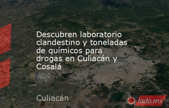 Descubren laboratorio clandestino y toneladas de químicos para drogas en Culiacán y Cosalá. Noticias en tiempo real