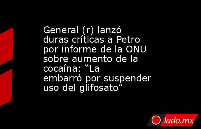 General (r) lanzó duras críticas a Petro por informe de la ONU sobre aumento de la cocaína: “La embarró por suspender uso del glifosato” . Noticias en tiempo real