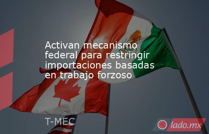 Activan mecanismo federal para restringir importaciones basadas en trabajo forzoso. Noticias en tiempo real