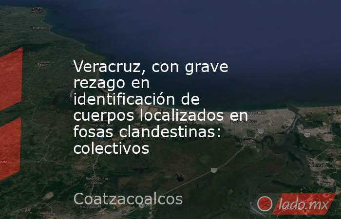 Veracruz, con grave rezago en identificación de cuerpos localizados en fosas clandestinas: colectivos. Noticias en tiempo real