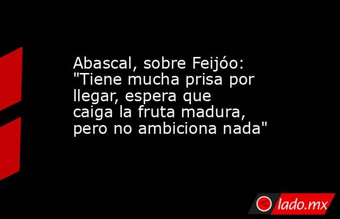 Abascal, sobre Feijóo: 