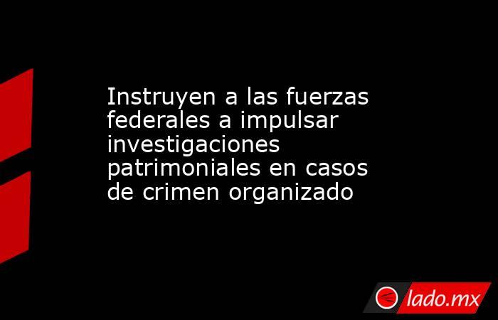 Instruyen a las fuerzas federales a impulsar investigaciones patrimoniales en casos de crimen organizado. Noticias en tiempo real