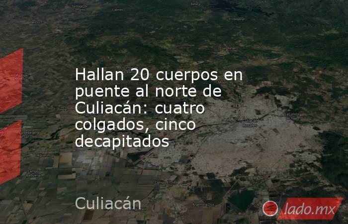 Hallan 20 cuerpos en puente al norte de Culiacán: cuatro colgados, cinco decapitados. Noticias en tiempo real