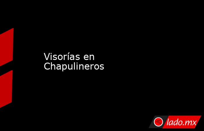 Visorías en Chapulineros. Noticias en tiempo real