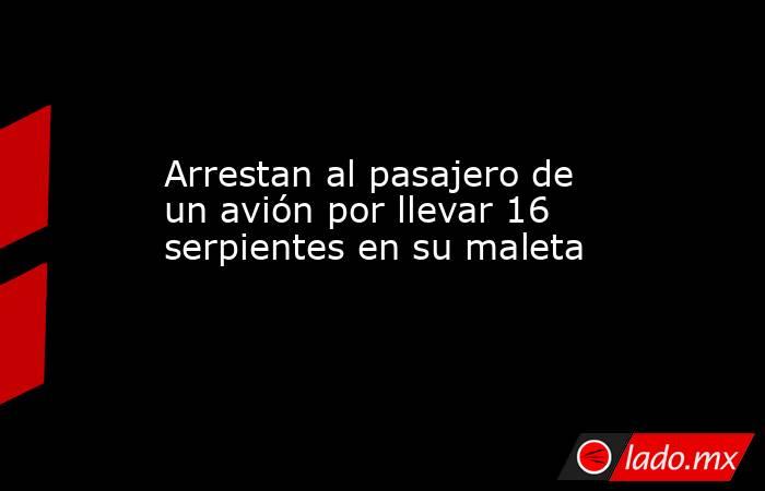 Arrestan al pasajero de un avión por llevar 16 serpientes en su maleta . Noticias en tiempo real