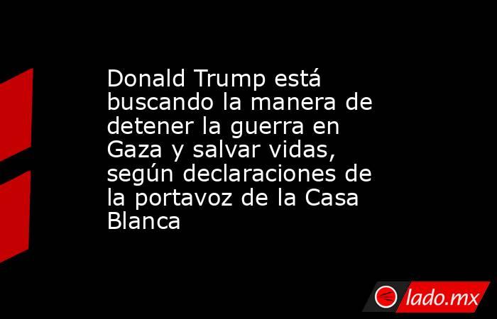 Donald Trump está buscando la manera de detener la guerra en Gaza y salvar vidas, según declaraciones de la portavoz de la Casa Blanca . Noticias en tiempo real