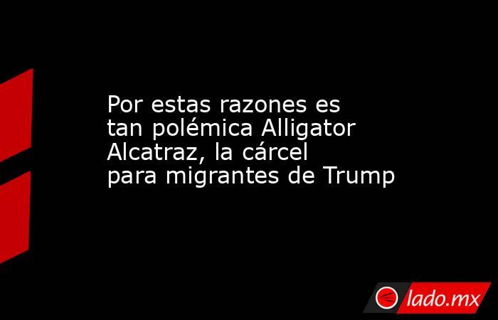 Por estas razones es tan polémica Alligator Alcatraz, la cárcel para migrantes de Trump. Noticias en tiempo real