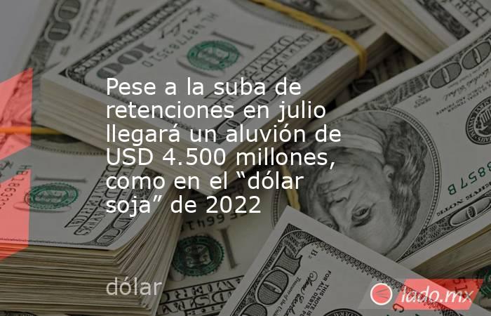 Pese a la suba de retenciones en julio llegará un aluvión de USD 4.500 millones, como en el “dólar soja” de 2022. Noticias en tiempo real