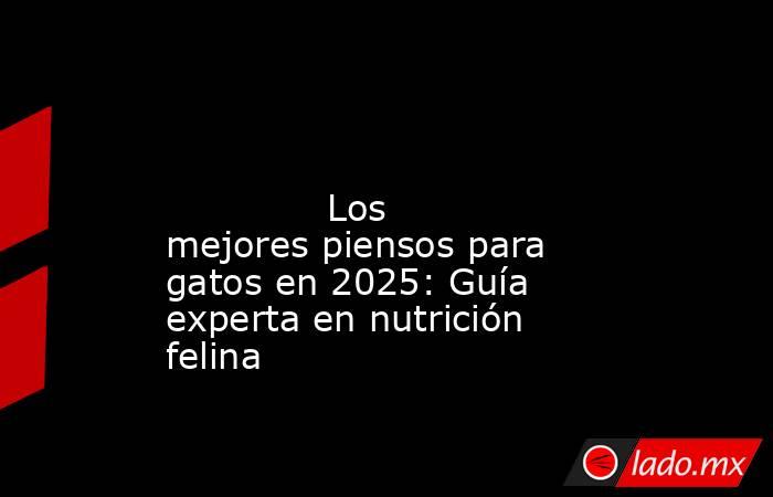                                                                                                                                      Los mejores piensos para gatos en 2025: Guía experta en nutrición felina                                                  . Noticias en tiempo real