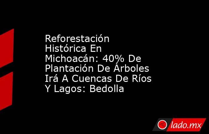 Reforestación Histórica En Michoacán: 40% De Plantación De Árboles Irá A Cuencas De Ríos Y Lagos: Bedolla. Noticias en tiempo real