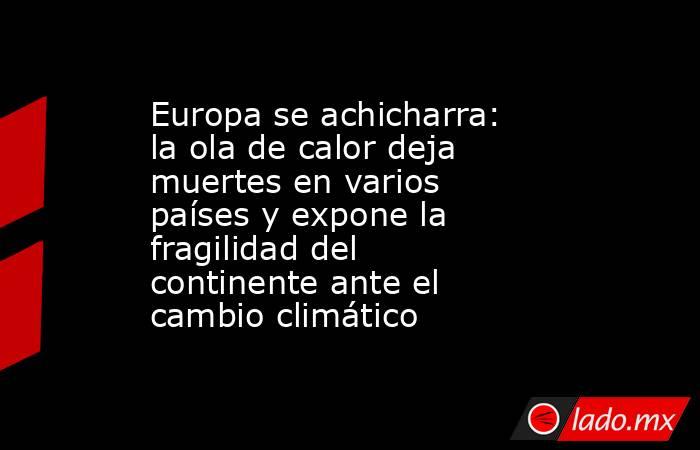 Europa se achicharra: la ola de calor deja muertes en varios países y expone la fragilidad del continente ante el cambio climático. Noticias en tiempo real