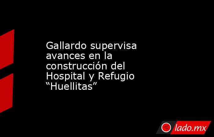 Gallardo supervisa avances en la construcción del Hospital y Refugio “Huellitas”. Noticias en tiempo real