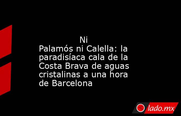                                                                                                               Ni Palamós ni Calella: la paradisíaca cala de la Costa Brava de aguas cristalinas a una hora de Barcelona                                        . Noticias en tiempo real