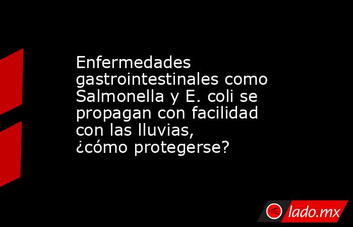 Enfermedades gastrointestinales como Salmonella y E. coli se propagan con facilidad con las lluvias, ¿cómo protegerse?. Noticias en tiempo real