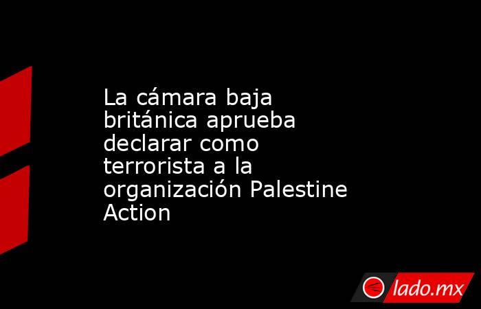 La cámara baja británica aprueba declarar como terrorista a la organización Palestine Action. Noticias en tiempo real