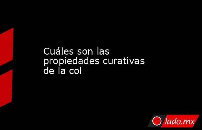 Cuáles son las propiedades curativas de la col. Noticias en tiempo real