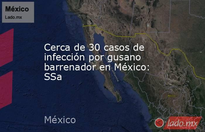 Cerca de 30 casos de infección por gusano barrenador en México: SSa. Noticias en tiempo real