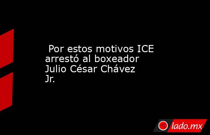  Por estos motivos ICE arrestó al boxeador Julio César Chávez Jr.. Noticias en tiempo real
