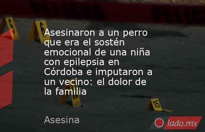 Asesinaron a un perro que era el sostén emocional de una niña con epilepsia en Córdoba e imputaron a un vecino: el dolor de la familia. Noticias en tiempo real