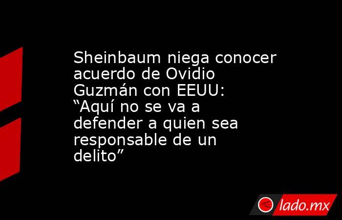 Sheinbaum niega conocer acuerdo de Ovidio Guzmán con EEUU: “Aquí no se va a defender a quien sea responsable de un delito”. Noticias en tiempo real