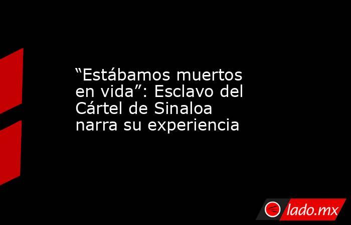 “Estábamos muertos en vida”: Esclavo del Cártel de Sinaloa narra su experiencia. Noticias en tiempo real