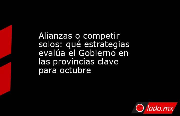 Alianzas o competir solos: qué estrategias evalúa el Gobierno en las provincias clave para octubre. Noticias en tiempo real