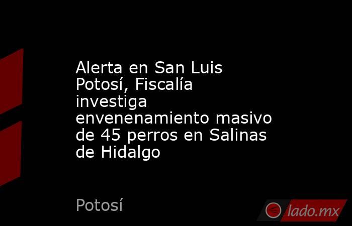 Alerta en San Luis Potosí, Fiscalía investiga envenenamiento masivo de 45 perros en Salinas de Hidalgo . Noticias en tiempo real