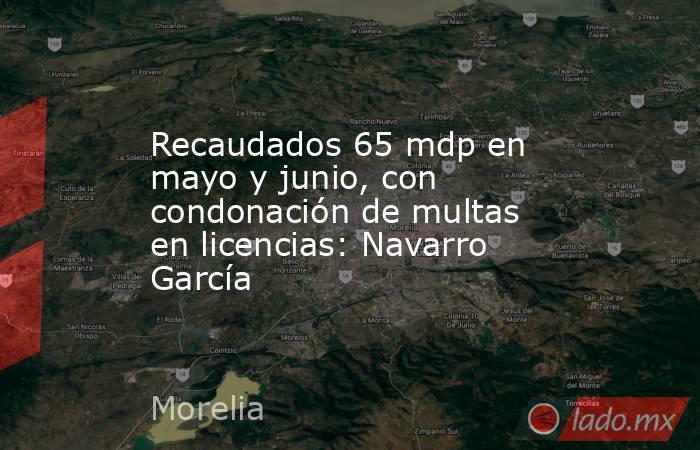 Recaudados 65 mdp en mayo y junio, con condonación de multas en licencias: Navarro García. Noticias en tiempo real